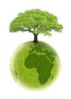 /album/medio-ambiente-/images-1-jpg1/